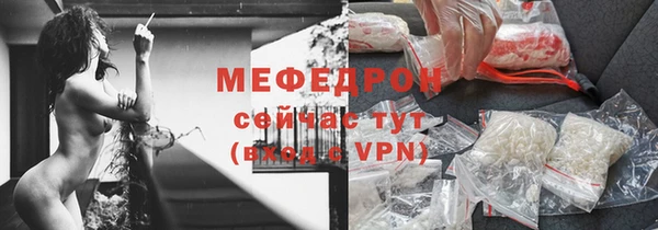 ECSTASY Ельня