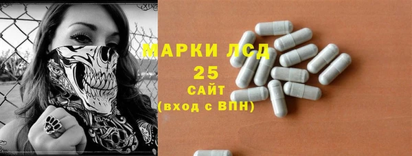 ECSTASY Ельня