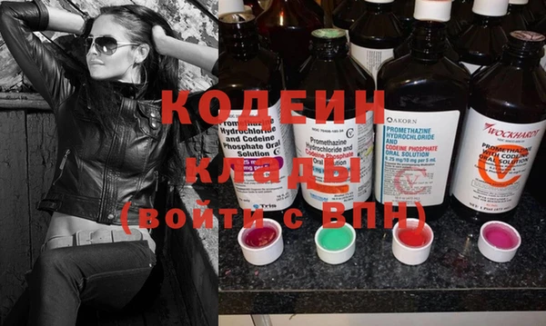 ECSTASY Ельня