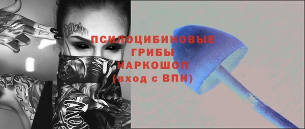 ECSTASY Ельня