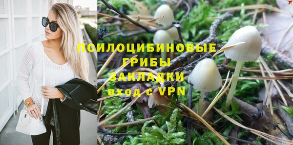 трава Елизово