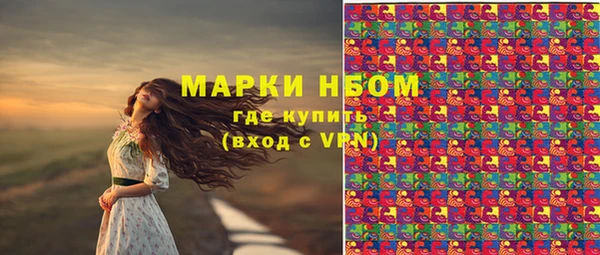 ECSTASY Ельня