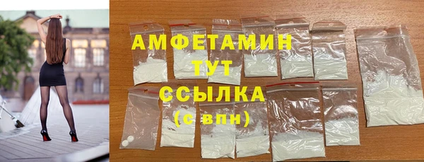 ECSTASY Ельня