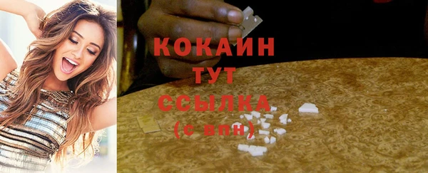 шишки Елабуга