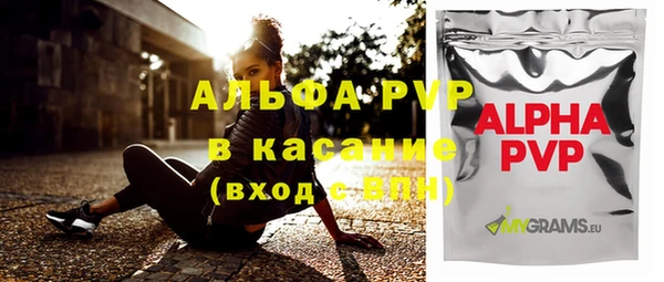ECSTASY Ельня