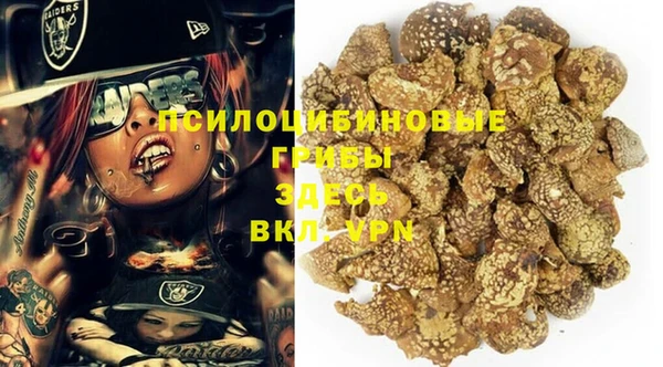 трава Елизово