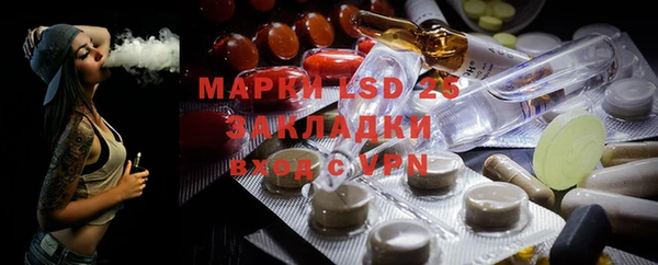 ECSTASY Ельня