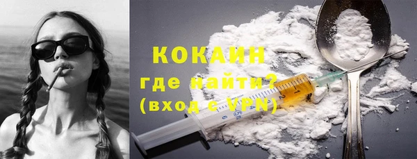 ECSTASY Ельня