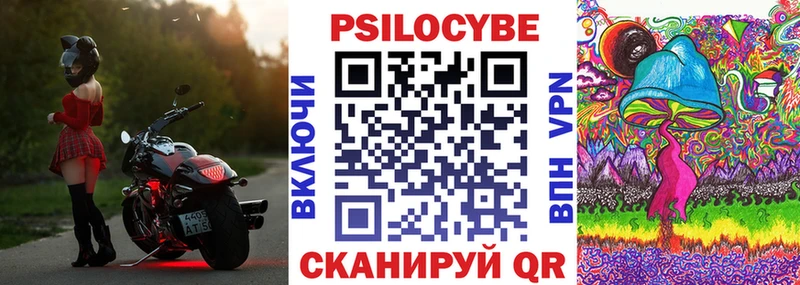 kraken как зайти  Канск  Псилоцибиновые грибы Psilocybe  дарнет шоп 