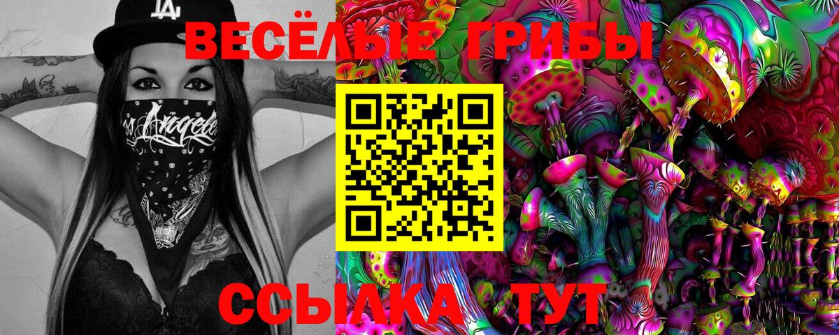 Псилоцибиновые грибы MAGIC MUSHROOMS Канск