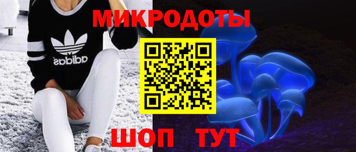 Псилоцибиновые грибы GOLDEN TEACHER  Вход с VPN  Канск 